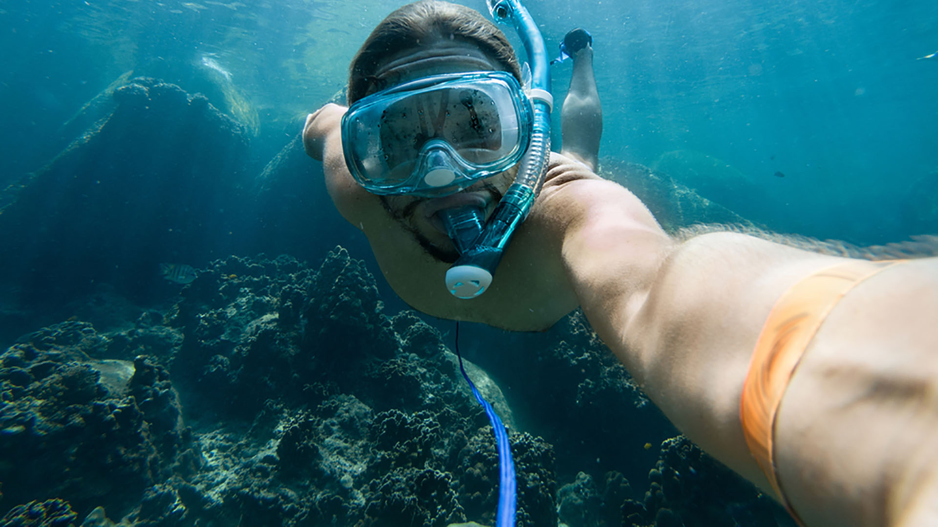 Snorkling in Barbados