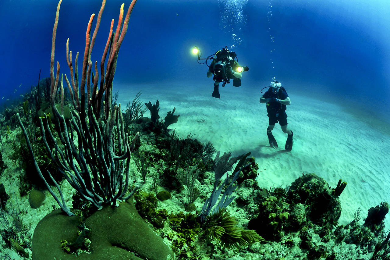 Lone Star Hotel and Restaurant reef life